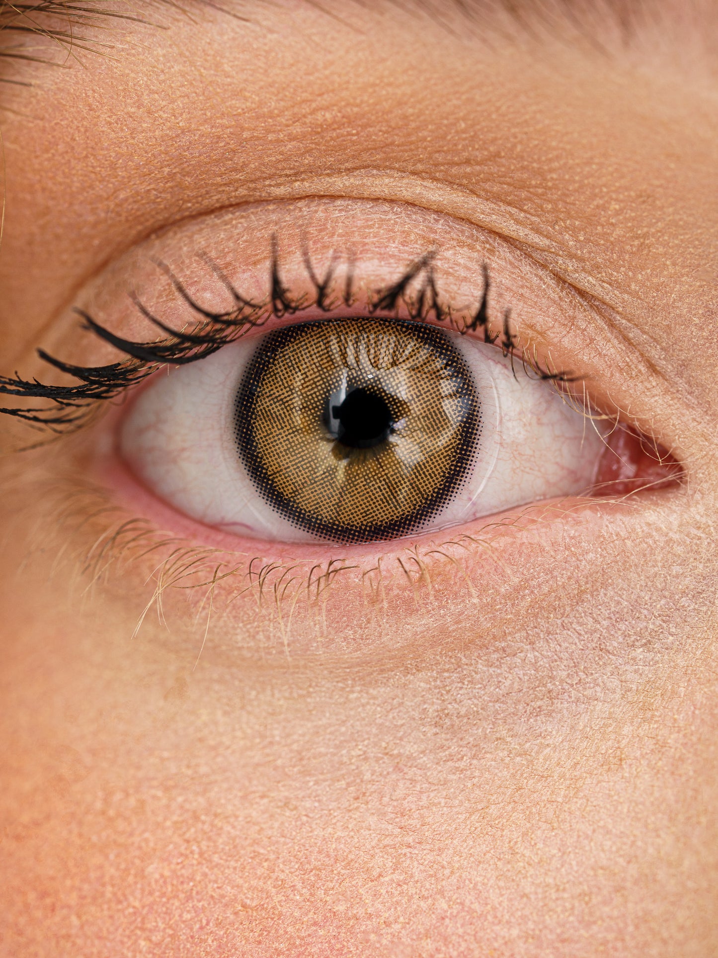 Detailansicht Cappuccino Linse – Kombination aus Braun und Gold mit realistischer Irisstruktur