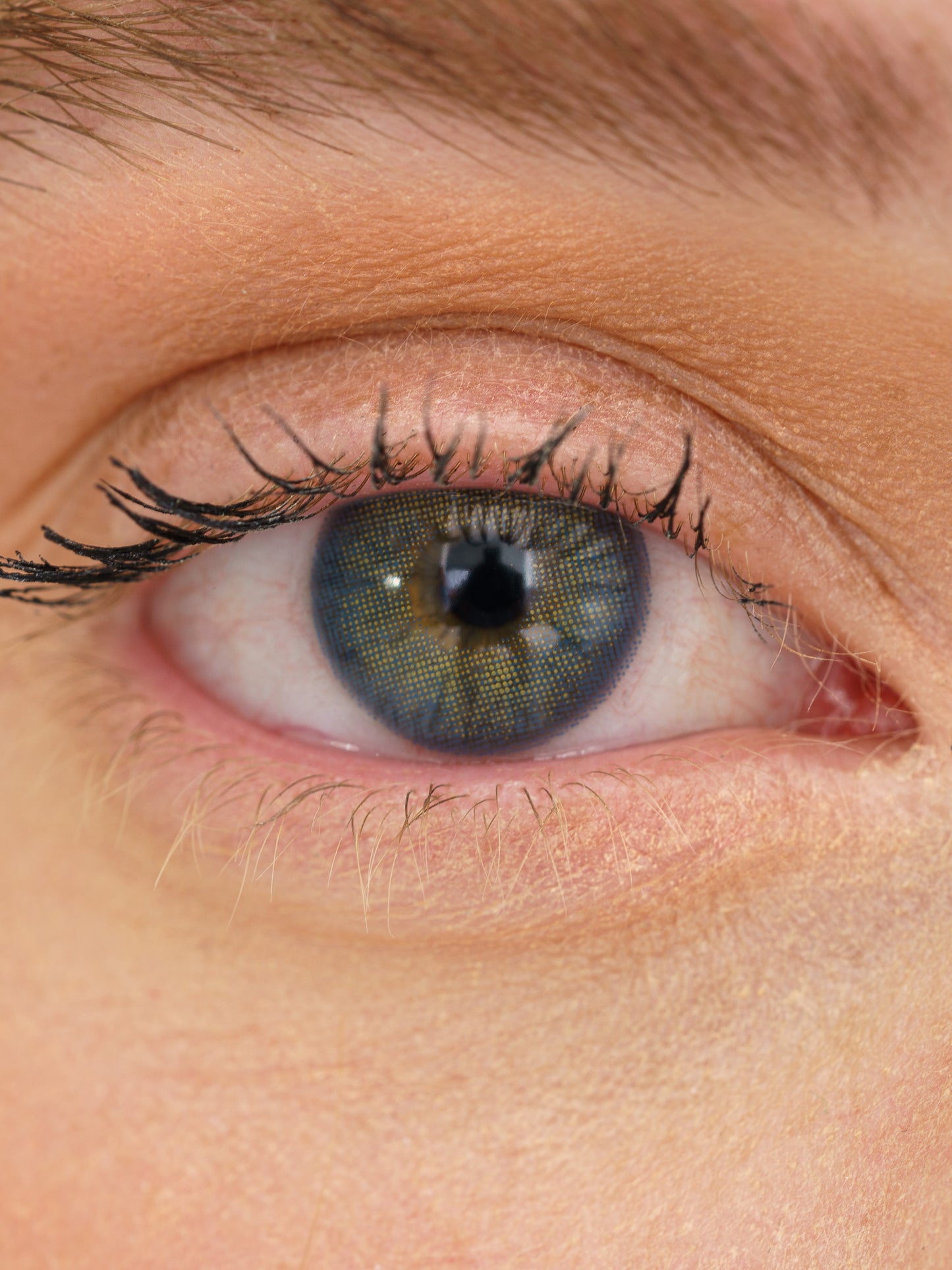 Detailaufnahme farbiger Kontaktlinsen in Grau-Blau mit grünen Akzenten – realistischer Effekt auf hellem Auge, ideal für natürlichen & auffälligen Look.